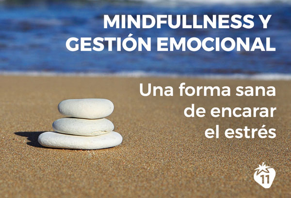 Mindfulness Y Gestión De Las Emociones